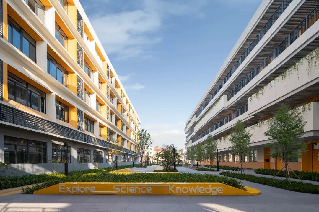 华东师范大学附属顺德美的学校（一期）丨中国佛山丨广东天元建筑设计有限公司（睿住天元）-16