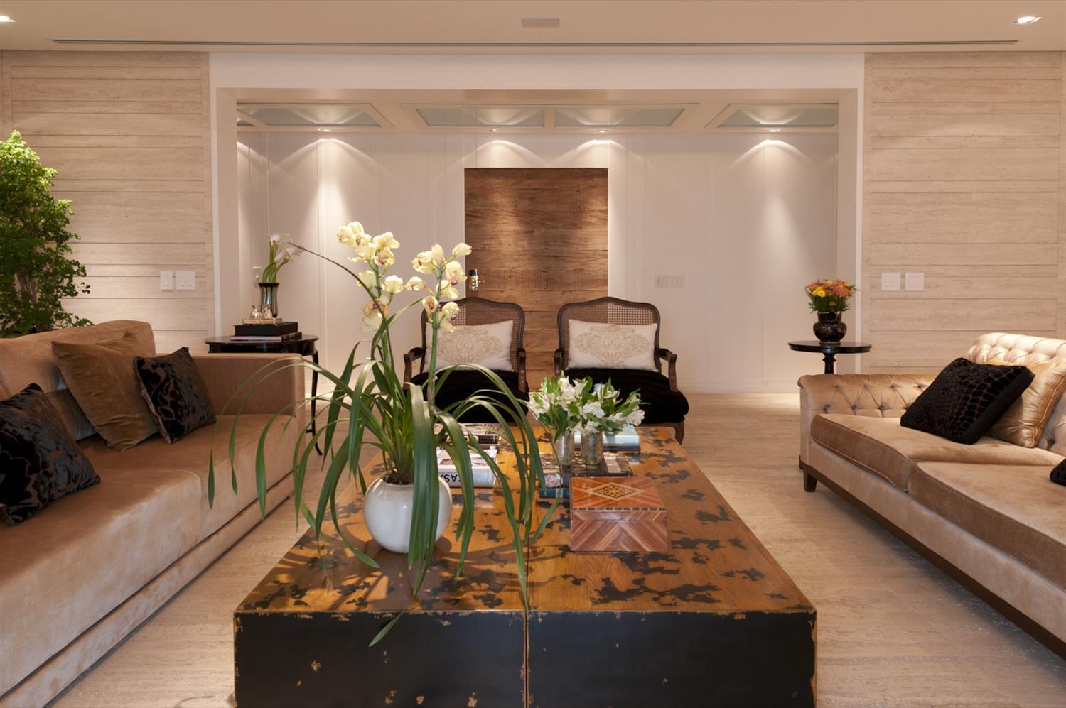 现代与古典交融的巴西公寓设计-6