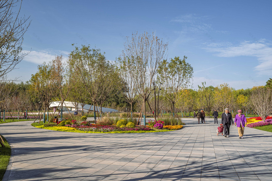 北小河公园樱花谷环境改造提升设计丨中国北京丨埊木设计(CAFA·A城市艺术创新中心)-20