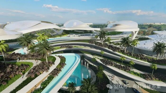 莲叶生辉，绽放层层美丽世界-17