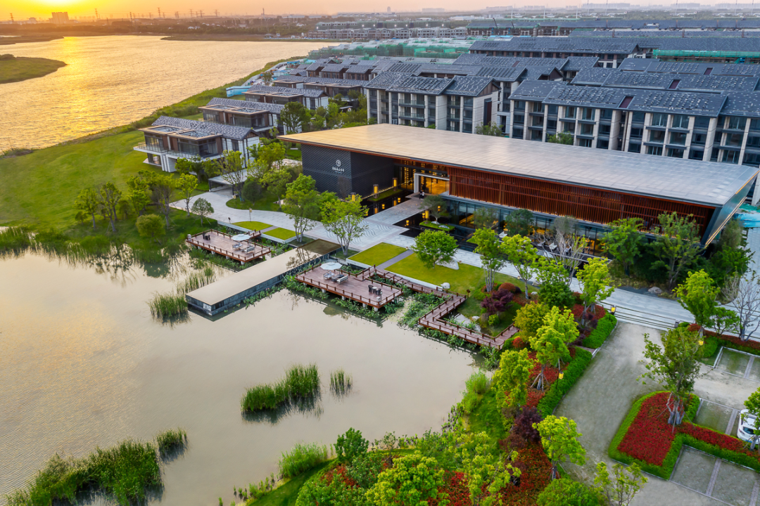 苏州鲁能泰山九号-62