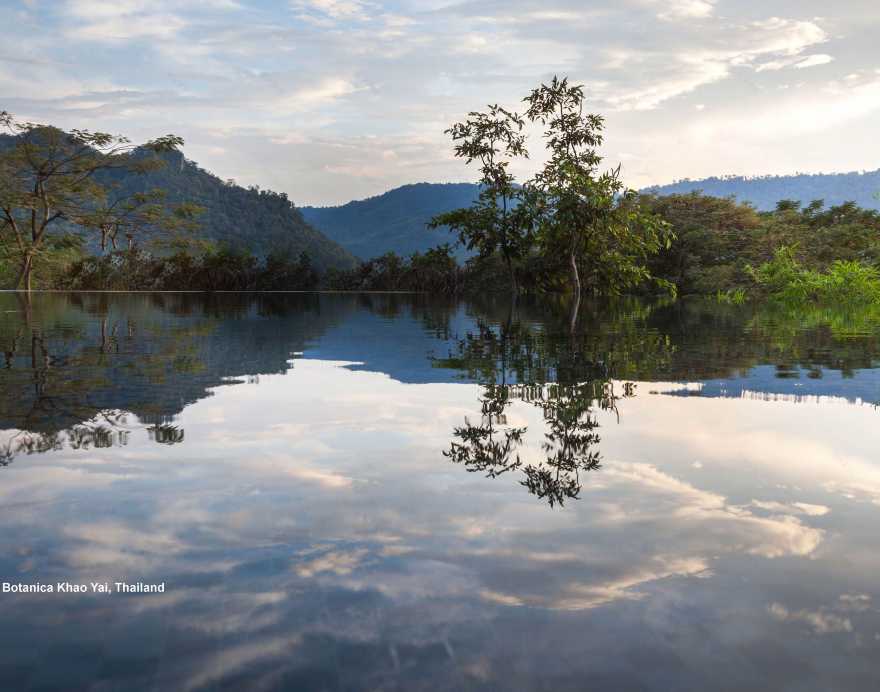 泰国考艾Botanica住宅酒店丨TROP:terrains + open space-19