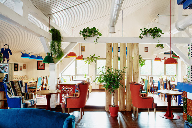 加加林和博科拉什-29