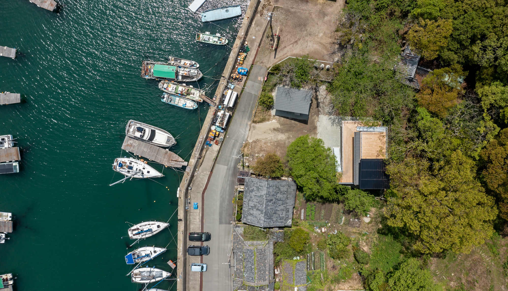 丨日本兵库丨lyhty-63