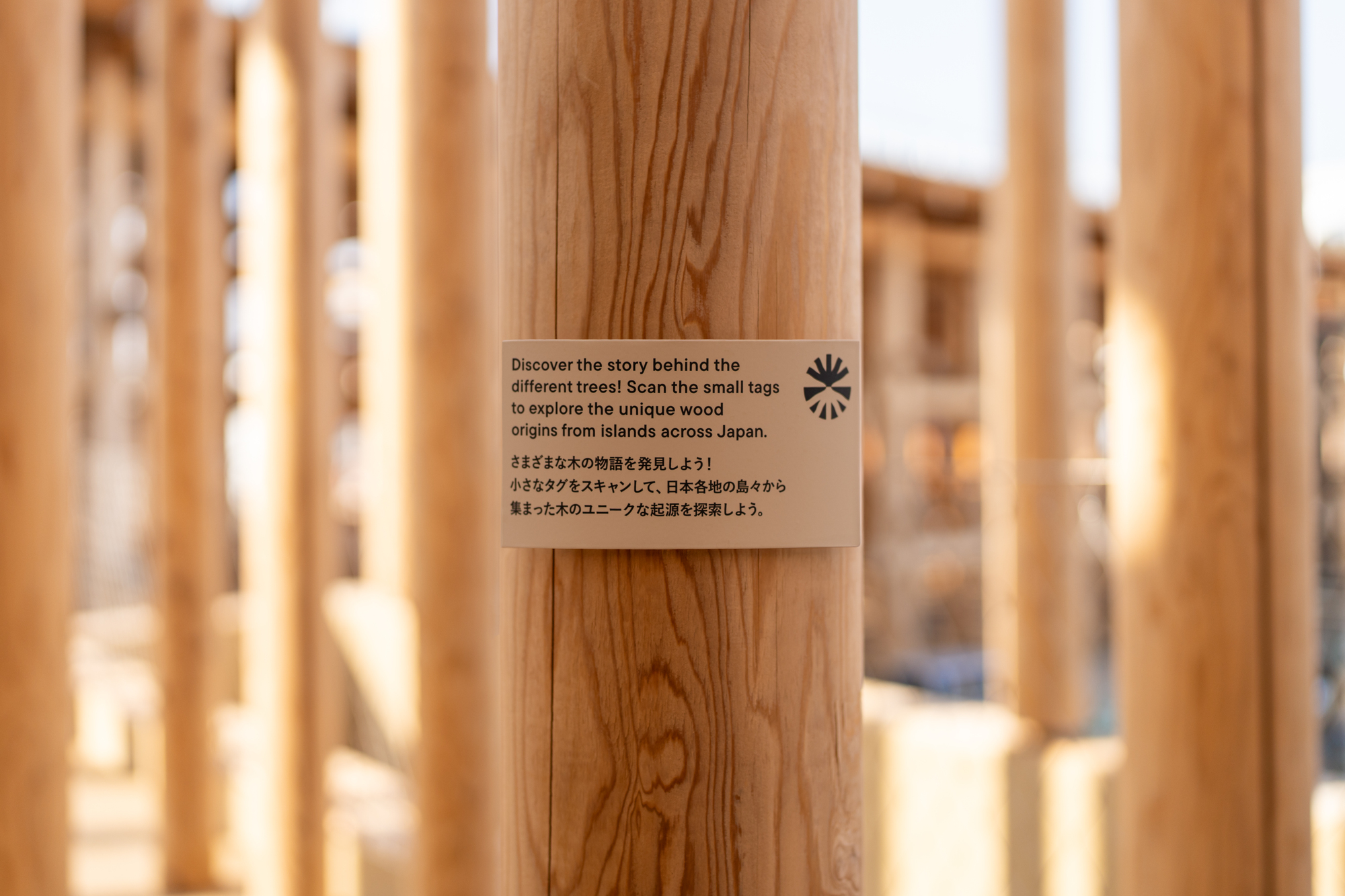 乌兹别克斯坦馆,2025年大阪世博会E·po展区 丨日本大阪丨ATELIER BRÜCKNER-33