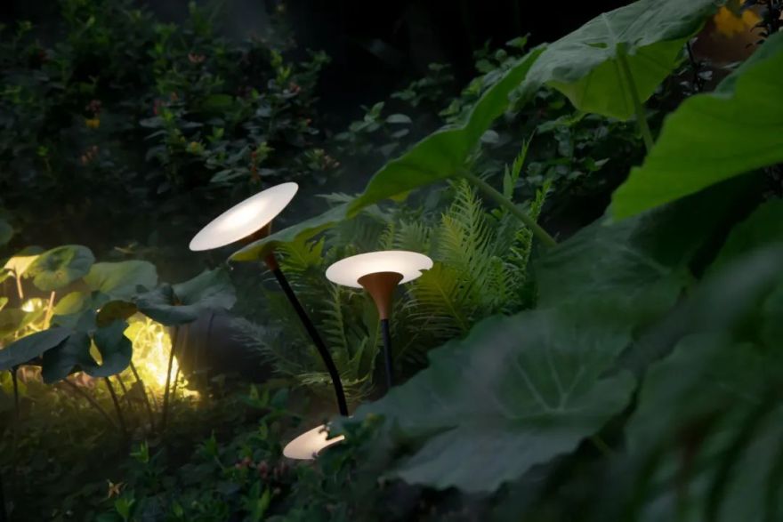 夏日雨林 | 成都德桦·御湖和境-58