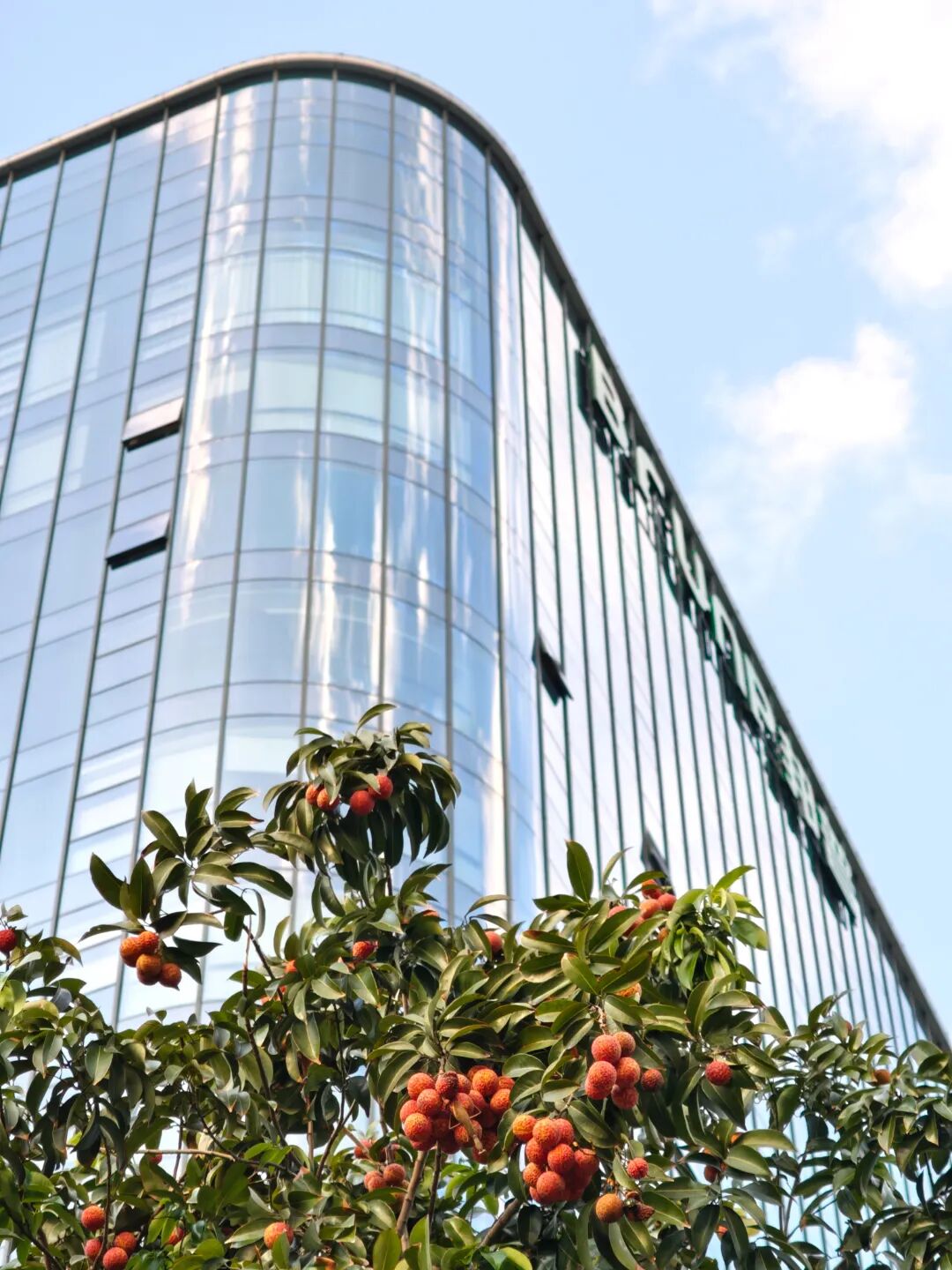 邦普循环|产业园区设计-9