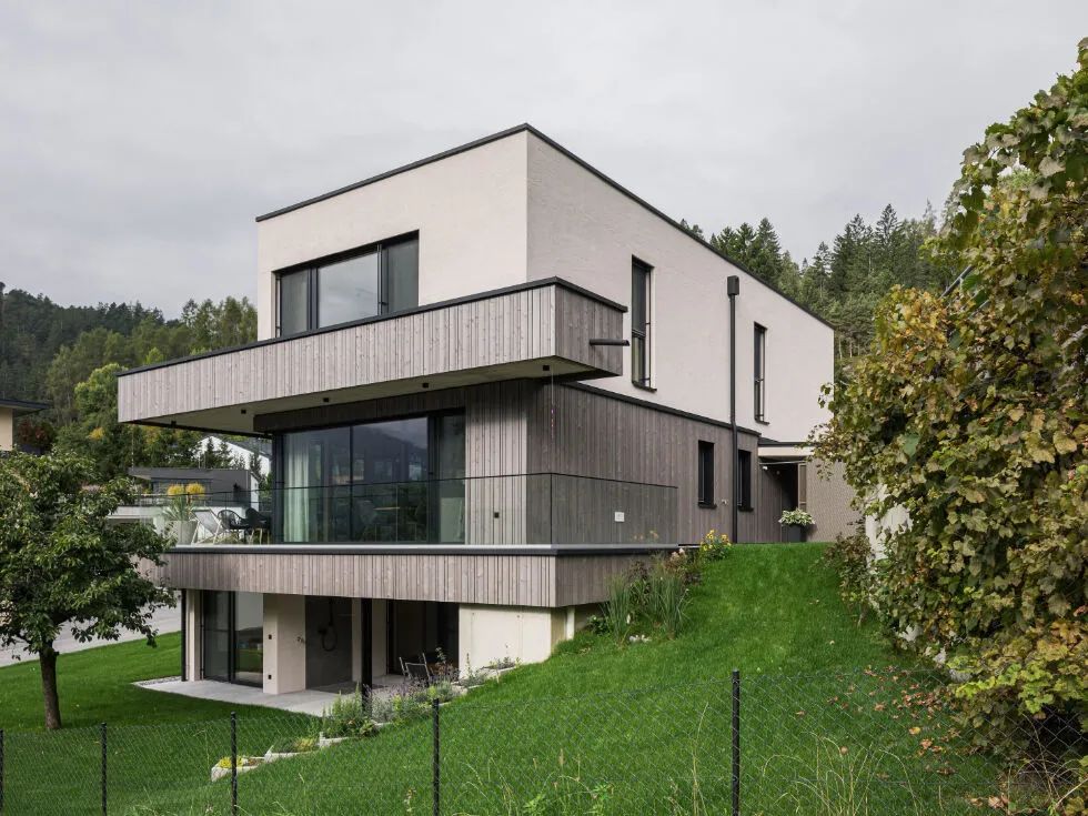 有王冠的房子；有景色的鸟巢丨奥地利丨Atelier Gitterle-41