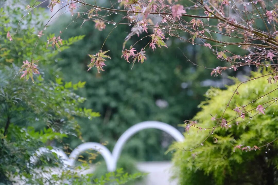 天堃新作|望族宅邸永恒传承（园林篇）-30