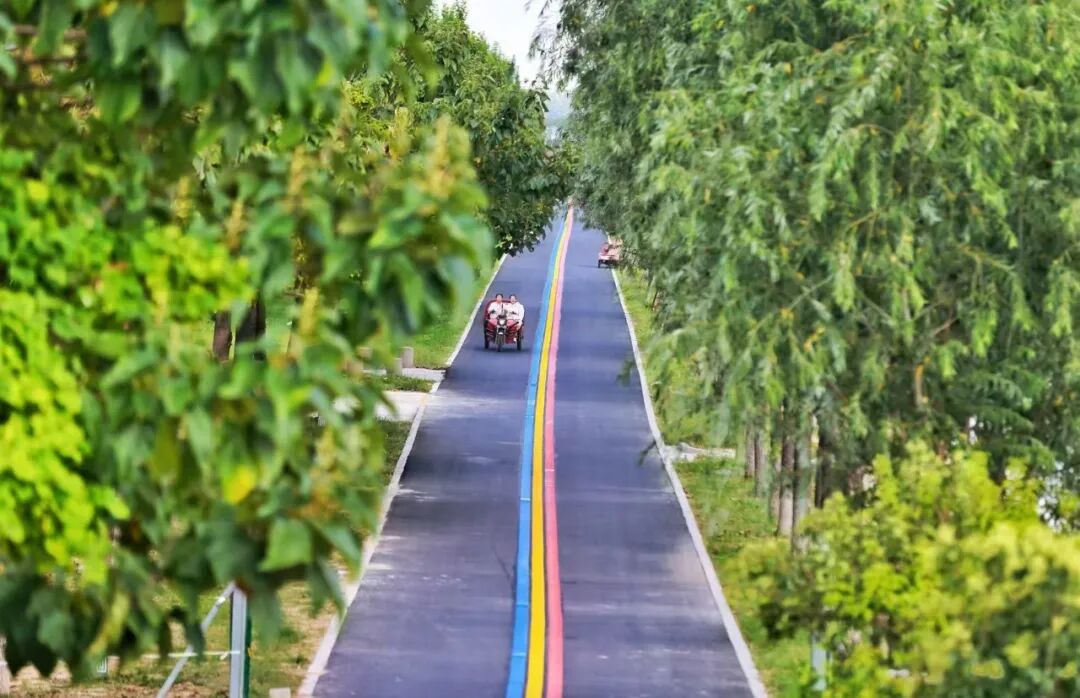 AWARDS|棕榈设计荣获2024“设计河南·美丽乡村”创意设计大赛两项奖项-19