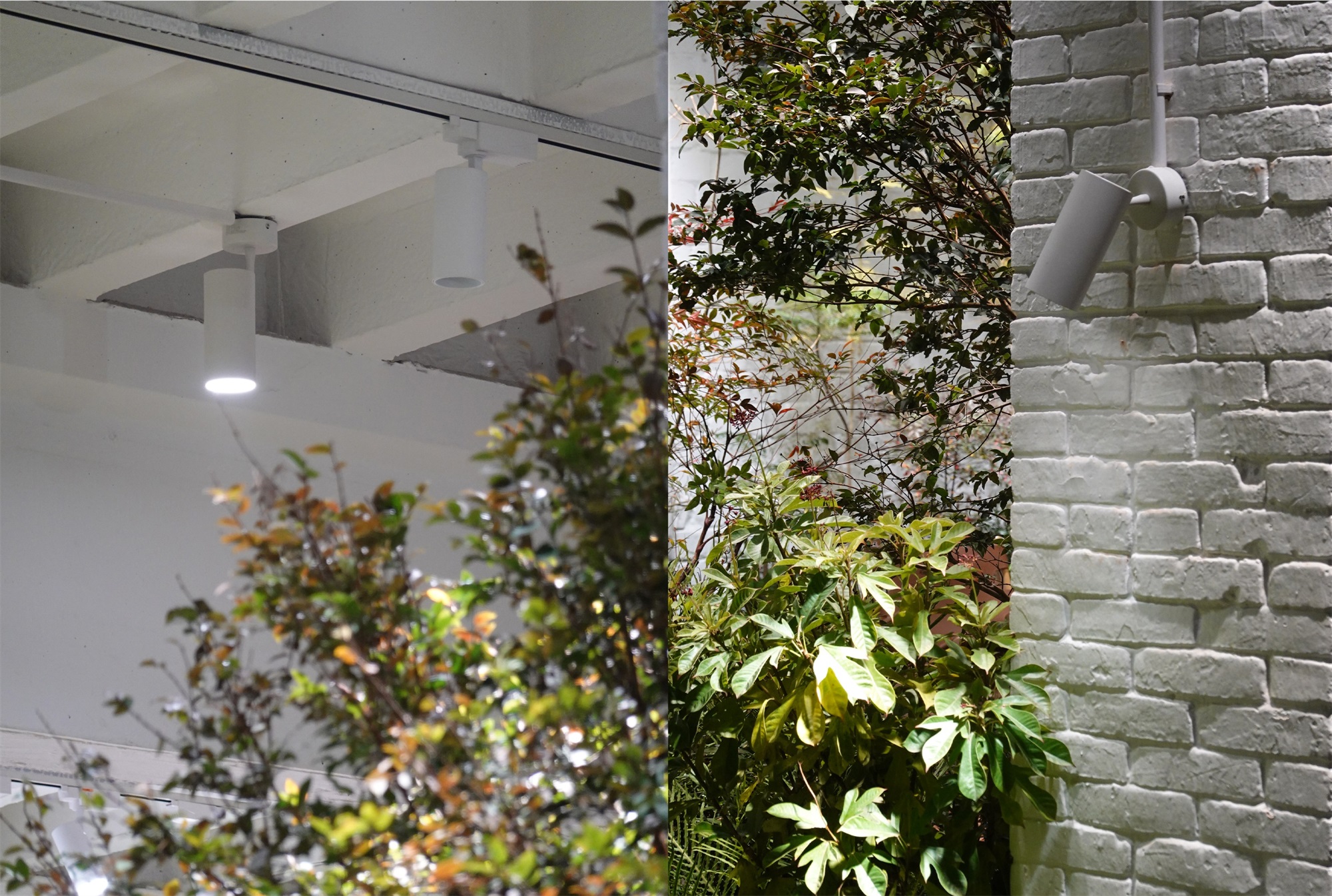 WE HOUSE 物候自然展厅丨我们在办公室造了一个植物园 / 物候设计-149