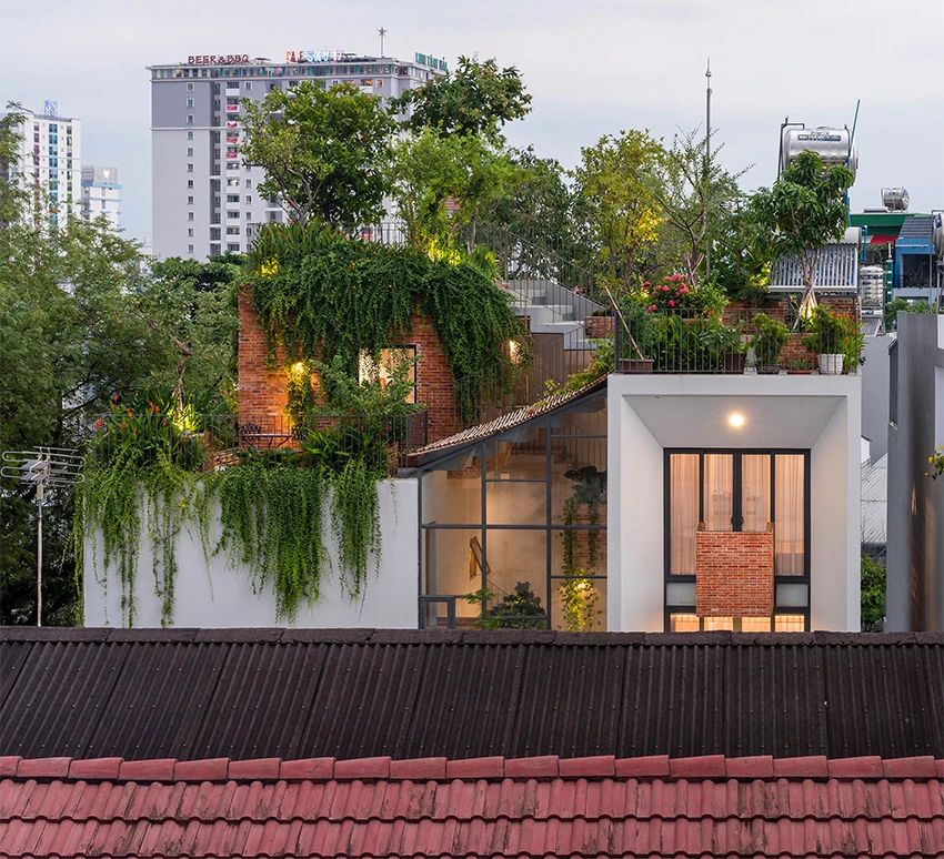 在屋顶盖一座公园,越南450㎡错层别墅！-0