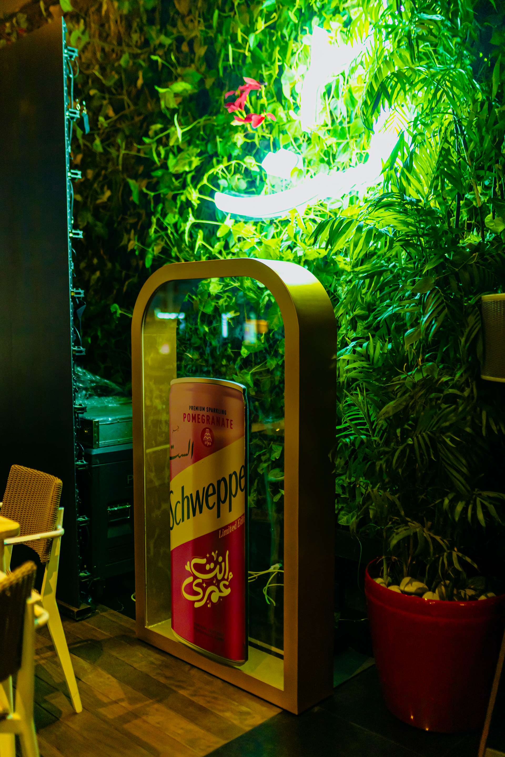 施韦普斯·埃尔塞特活动-16