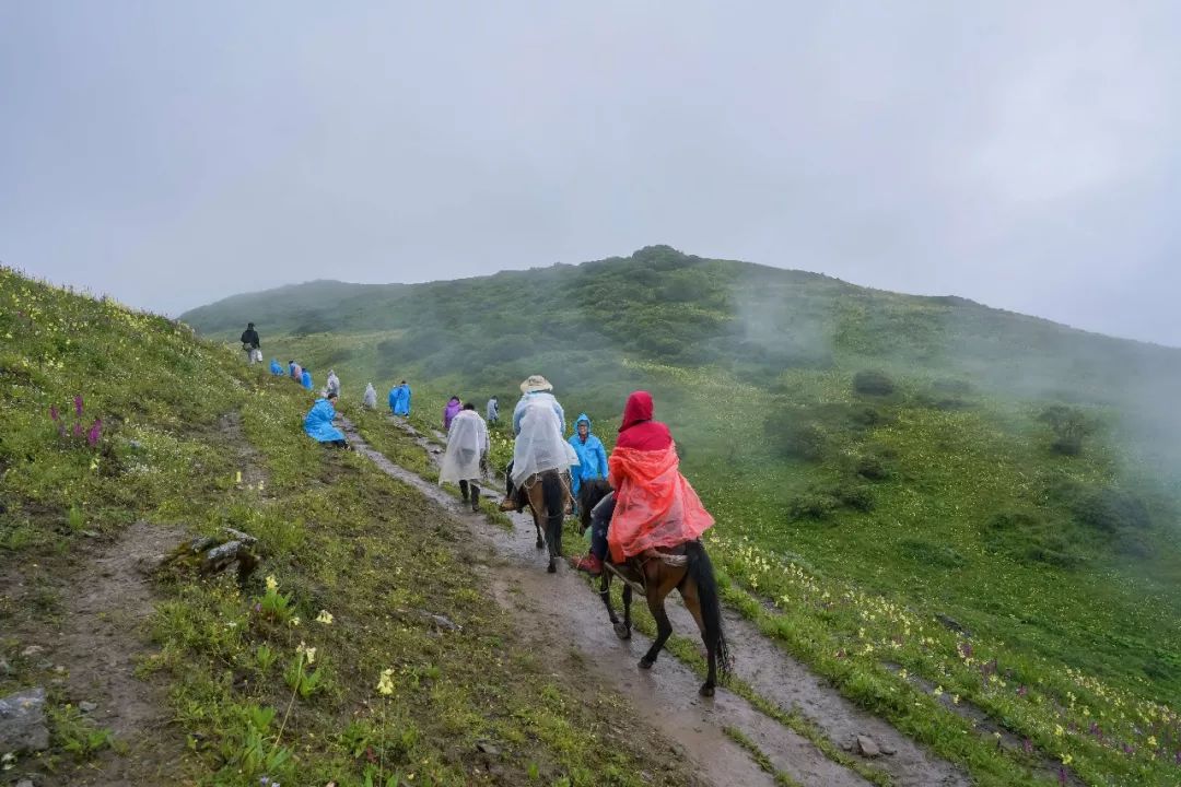 乐梵乐游阿坝徒步团建——挑战与互助的旅程-173