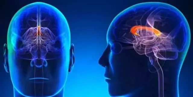 《Science》公布的 125 个最具挑战性的科学问题,你感兴趣的是哪个?-188