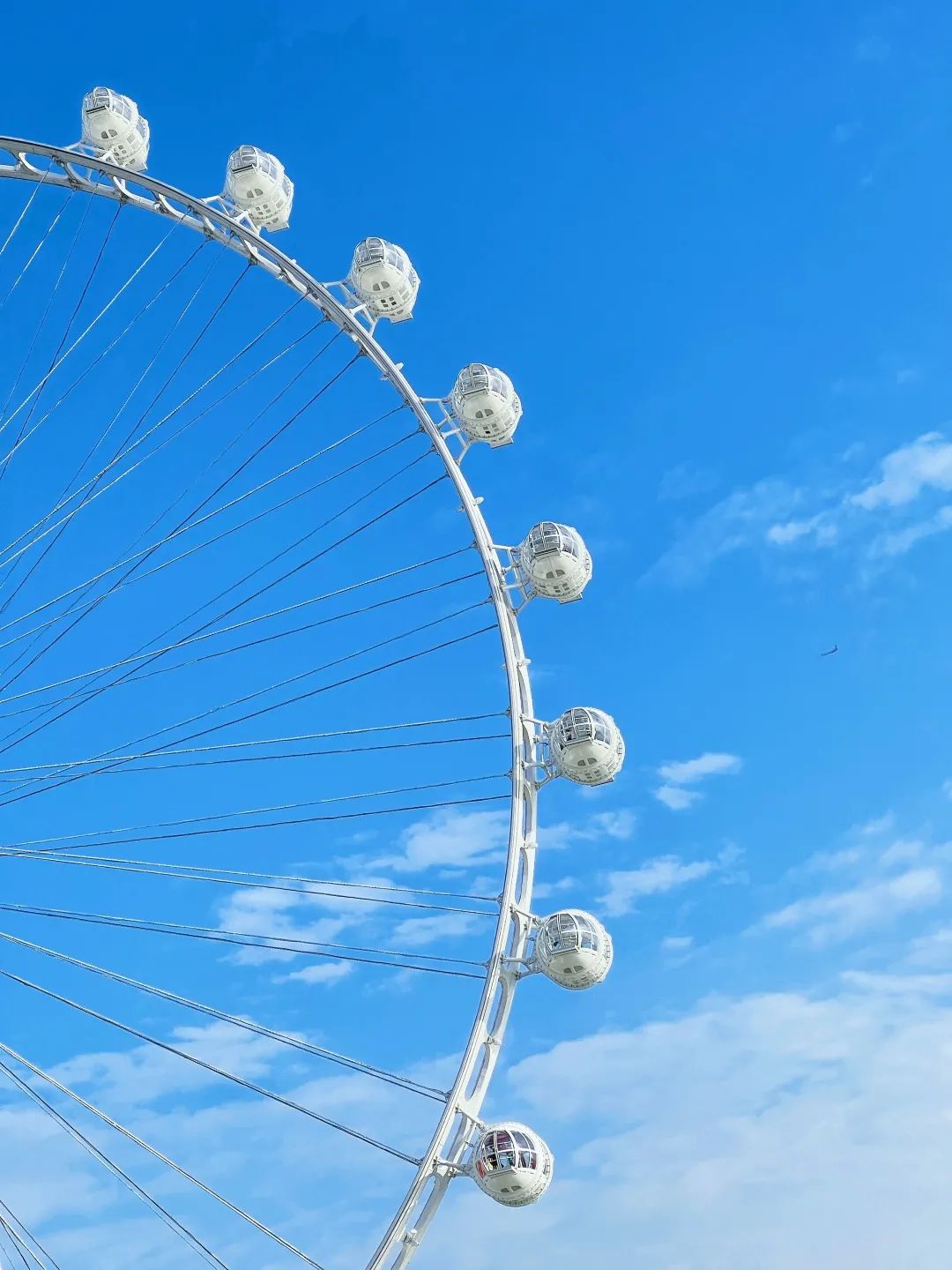 千园之城又添新景，这里的浪漫从白天到黑夜-53