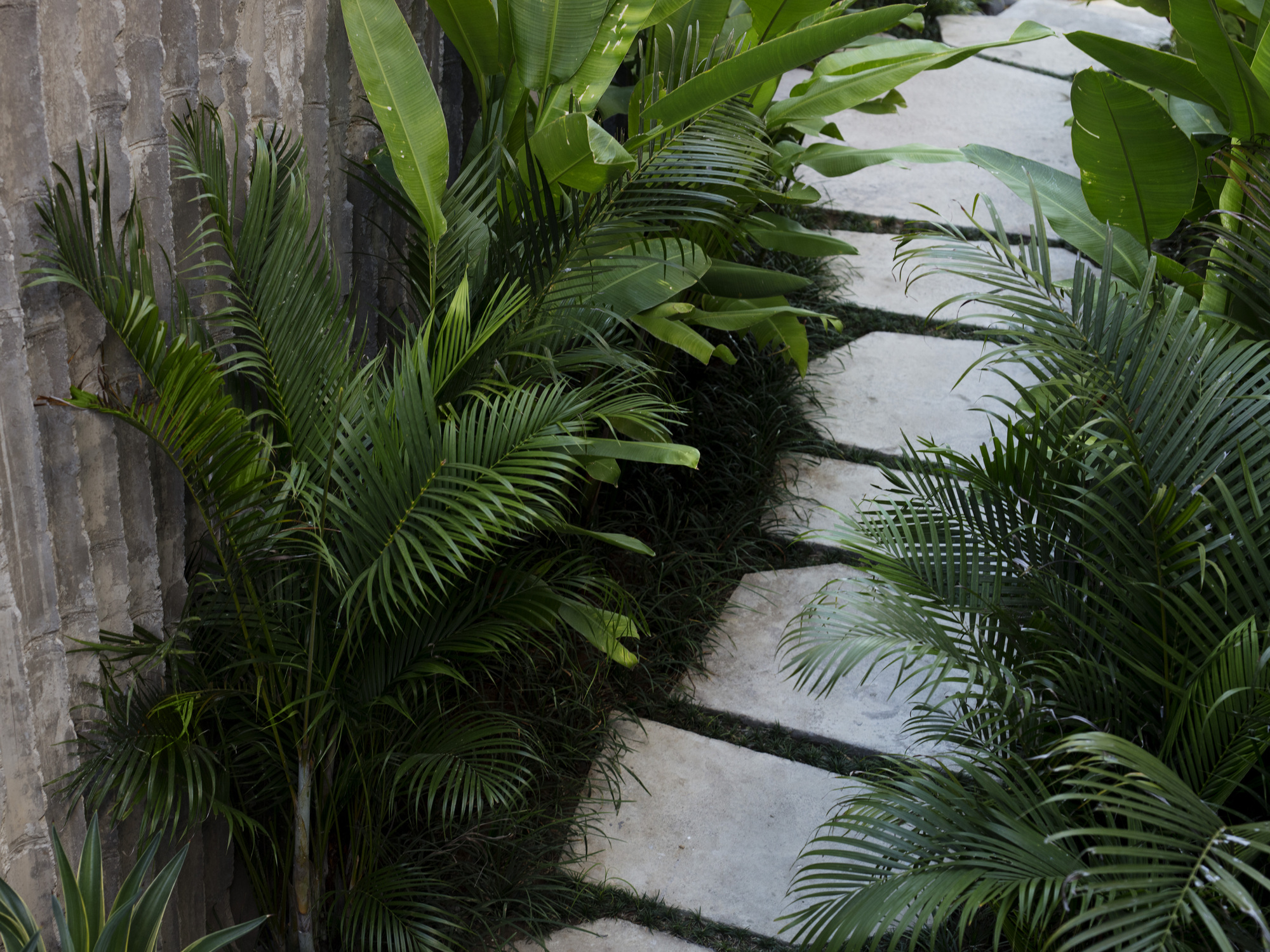 汀酒店丨印度尼西亚巴厘丨MANGUNING,Nic Brunsdon-48