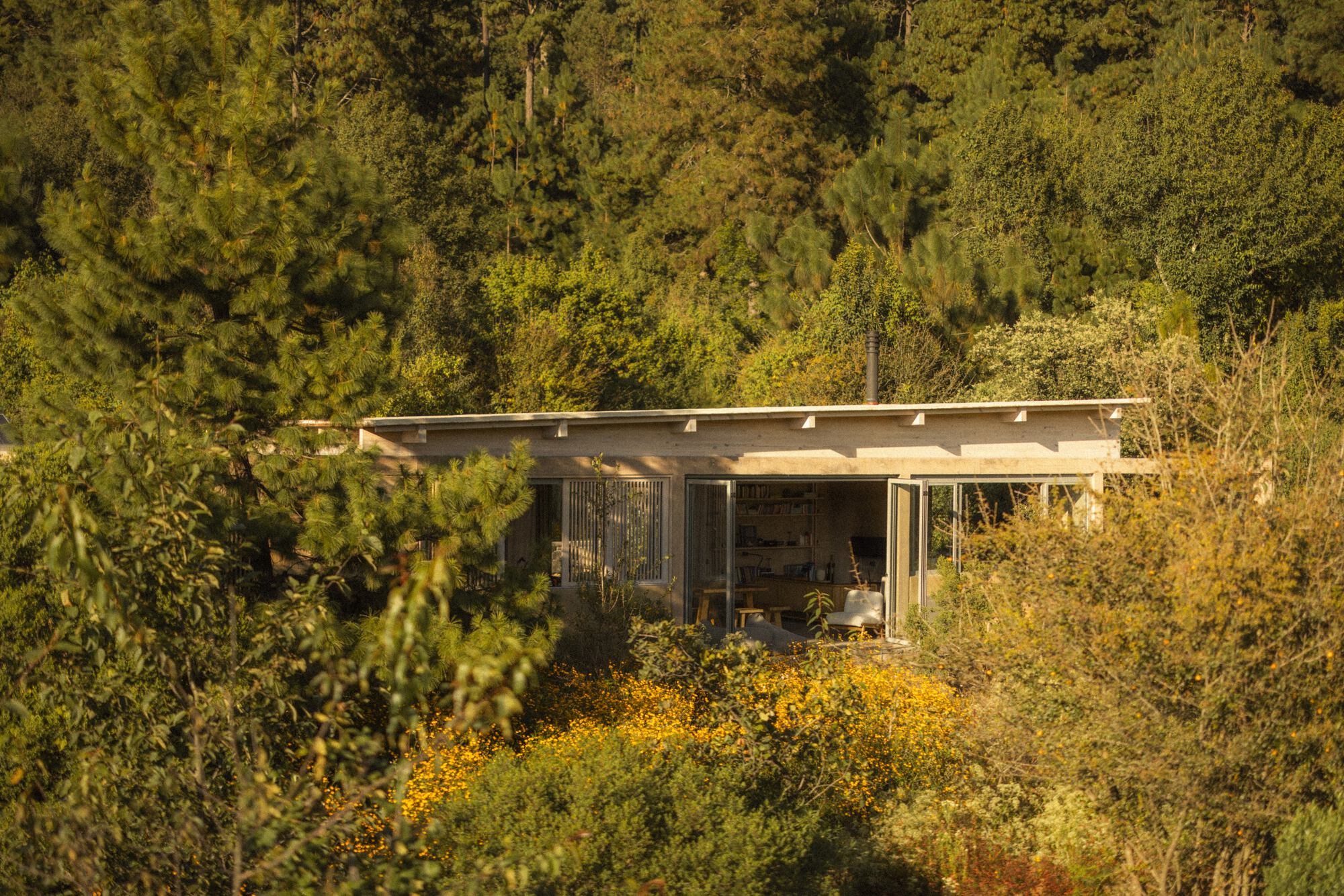 丨墨西哥丨Claudia Rodriguez,Louise Rouzaud-20