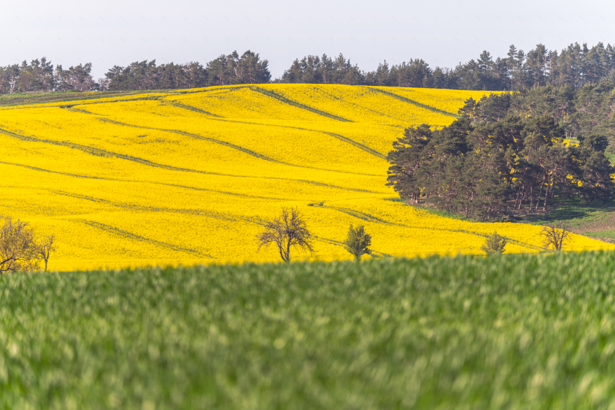 哈茨山樱花春日童话景观体验丨德国-18