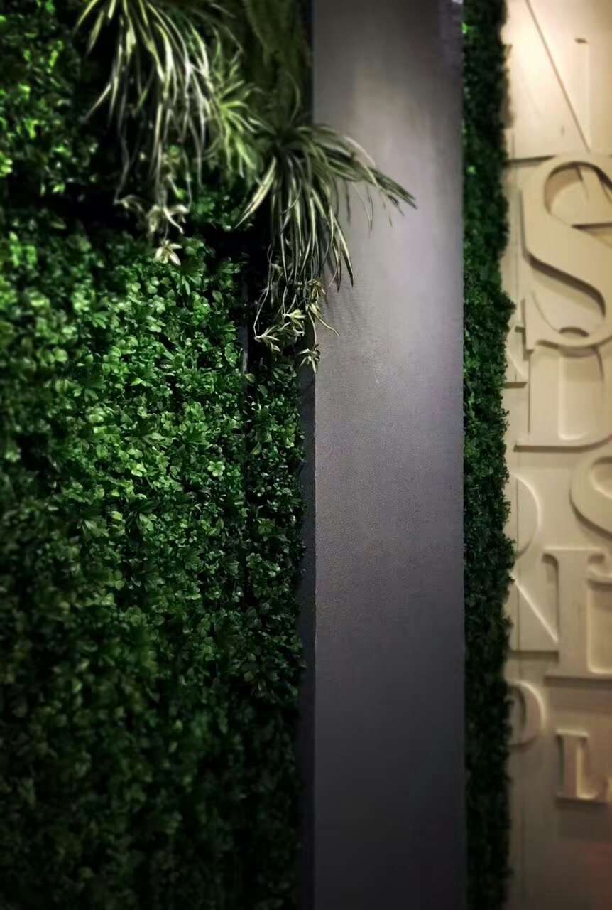 2015 年时尚工业风绿植设计案例解析-5