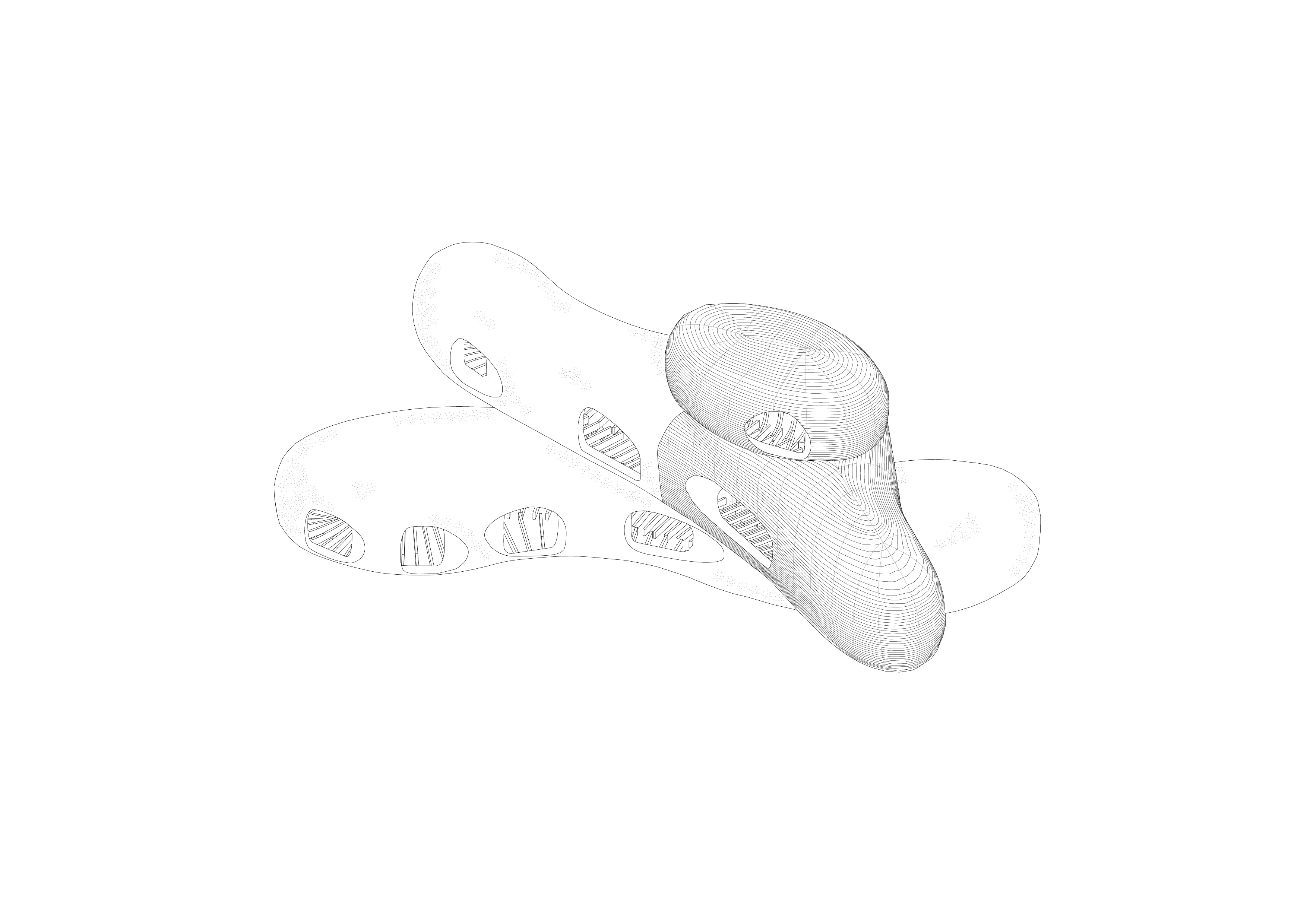 amorph living sculpture · 木材建筑丨奥地利萨尔茨堡丨Lechner & Lechner Architects-36