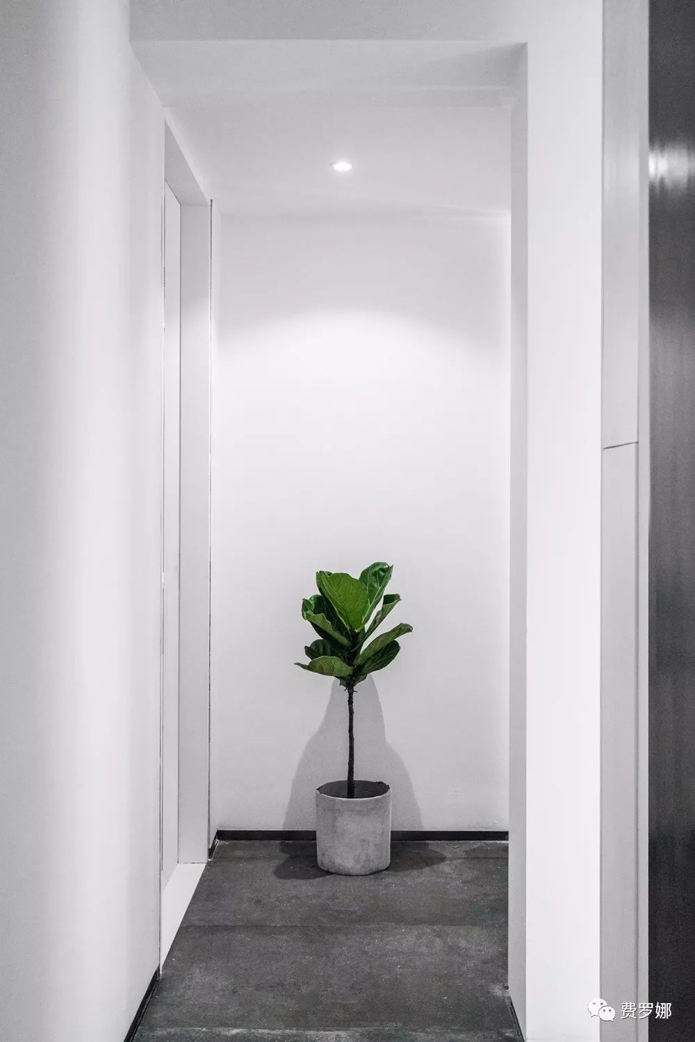 壹舍EASE——在繁华的“老广州”，寻找一份宁静与安逸 | 费罗娜-47