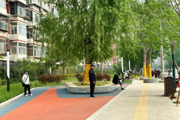 从课堂到街区更新实践！园林学院师生携手居民共建街巷“博物馆”-104