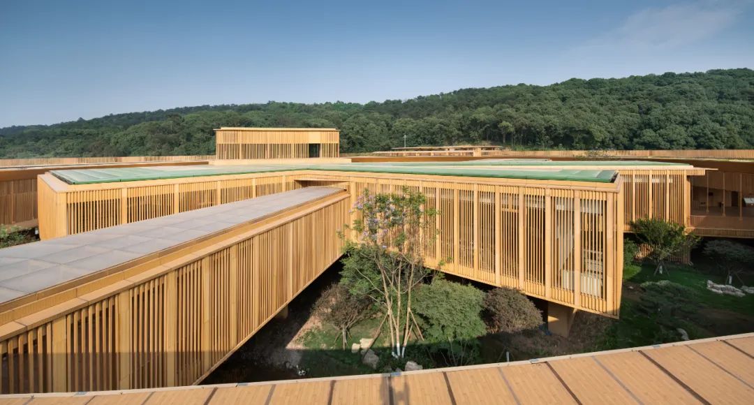 翠屏山景区游客接待中心建设项目丨中国宜宾丨东南大学建筑设计研究院有限公司-48