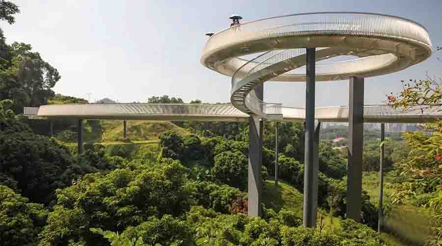 深圳光明小镇三桥与绿道景观-17