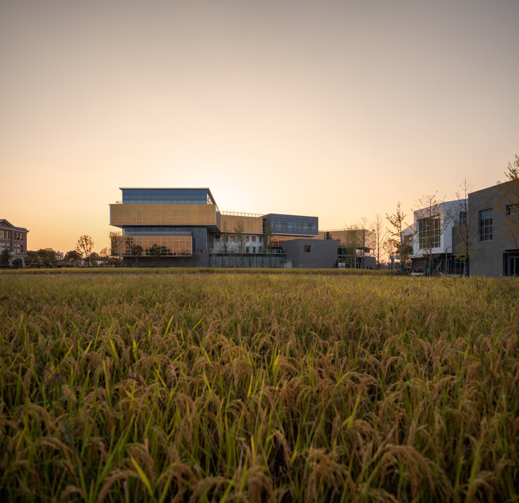 海宁长安国际花卉产业园，浙江 / 森上建筑+朴筑建筑-48