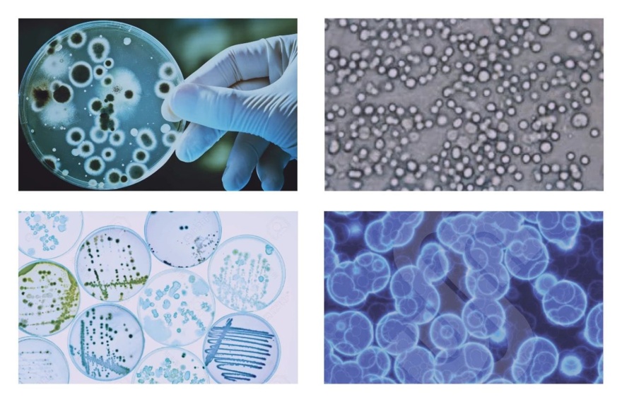 海大科学园景观设计丨中国广州-60