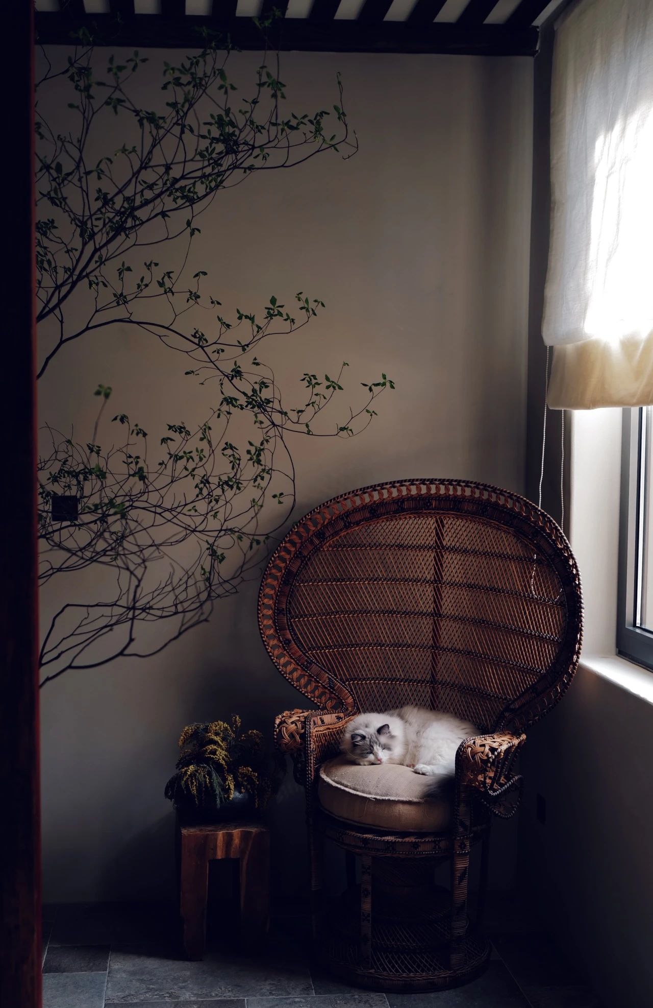 490㎡一人居静谧美宅丨中国北京丨尚层别墅装饰北京分公司-56