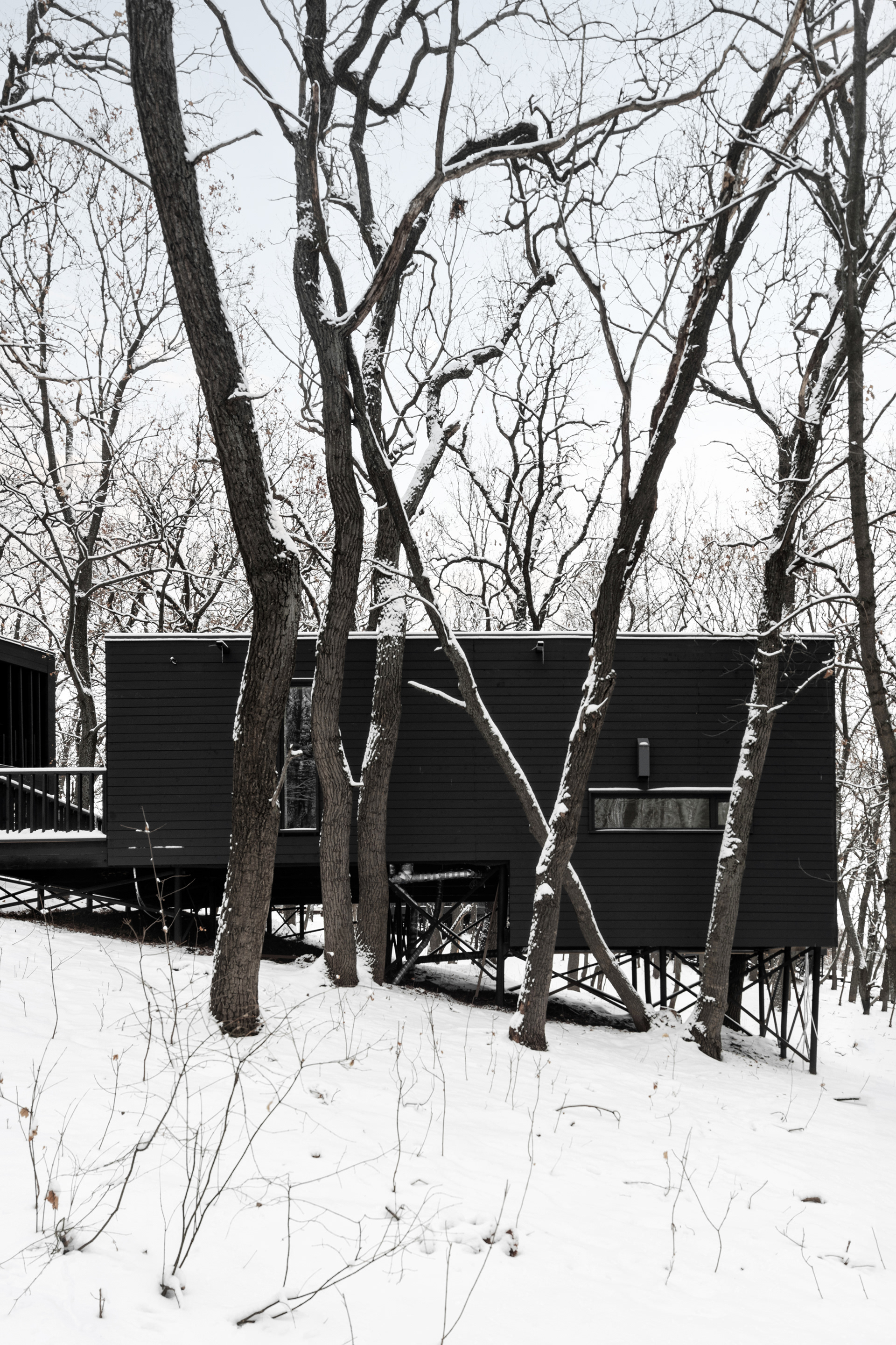 Турбаха ХОЛМ, SAAS Architects, 2025-15