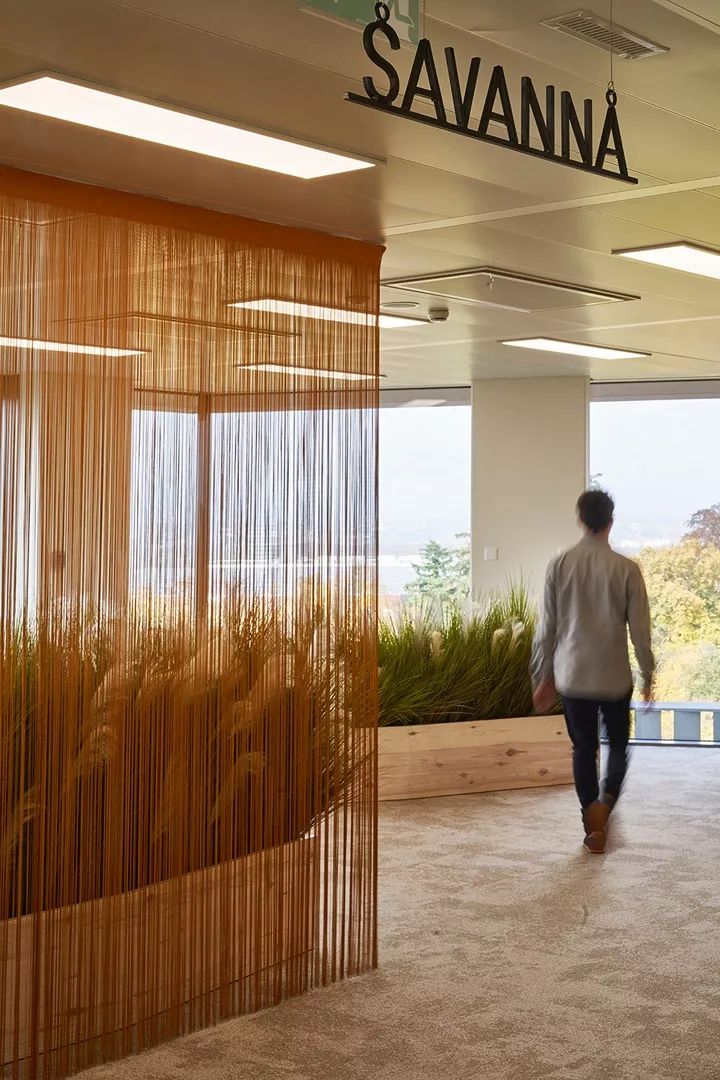 日内瓦 GAVI 办公室设计展现多样性与温暖-24