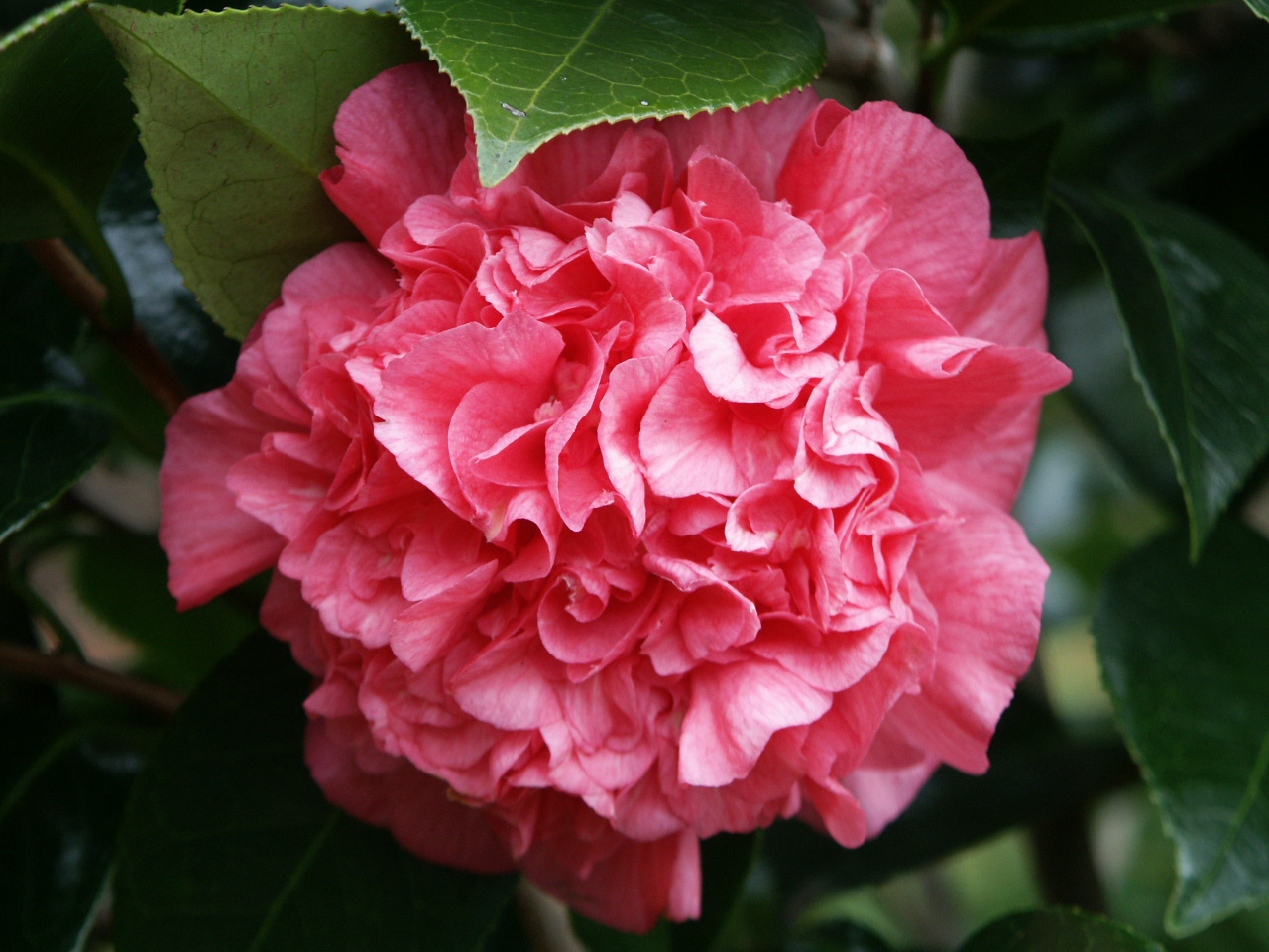 丨无相关信息-2