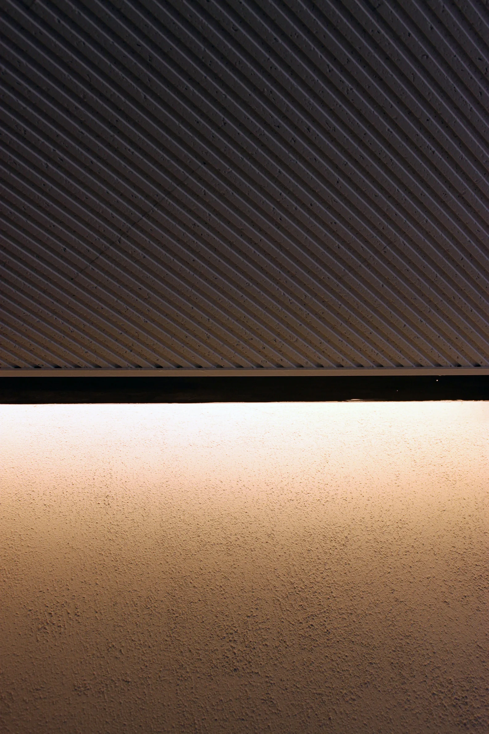 红色兔子丨澳大利亚悉尼丨aplin creative-30