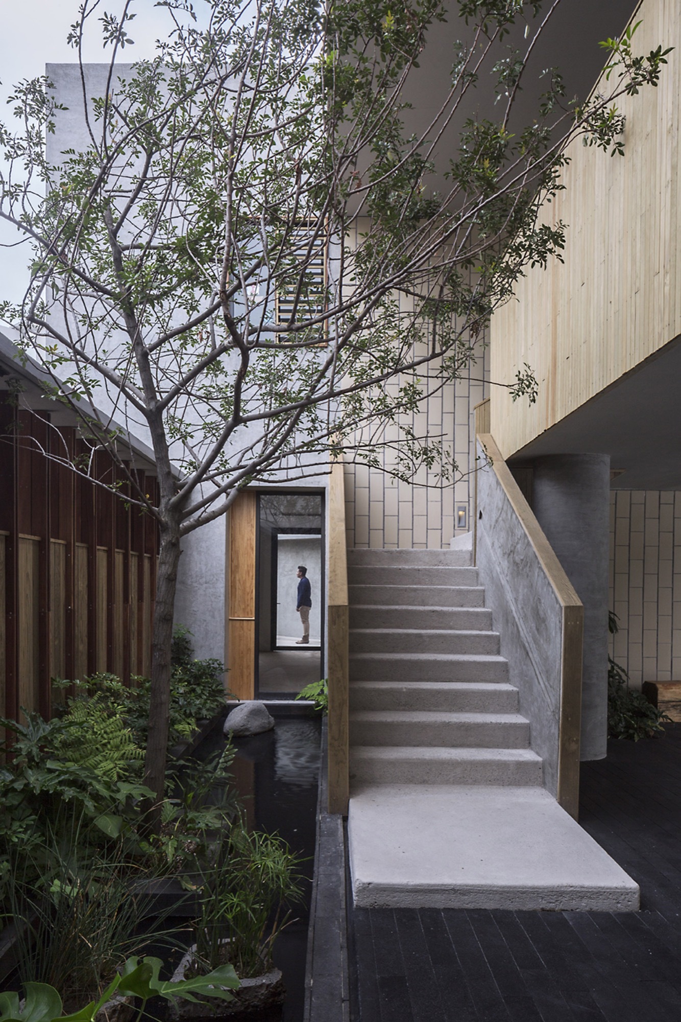 瓦尔登第二学校-9