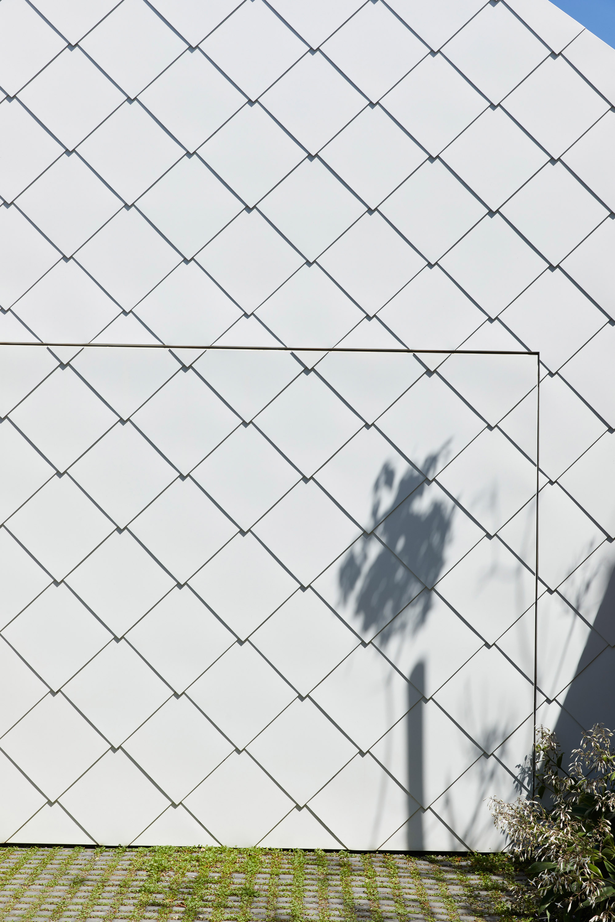 澳大利亚花园住宅丨Austin Maynard Architects-66