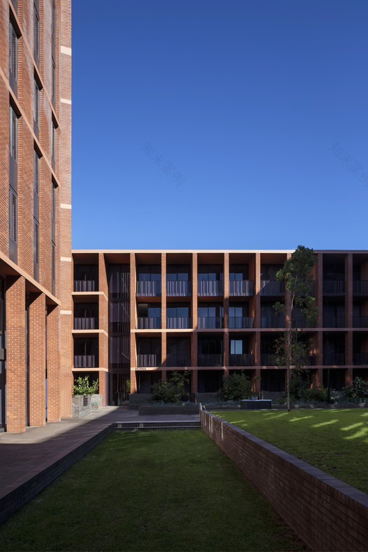 阿灵顿格罗夫-16