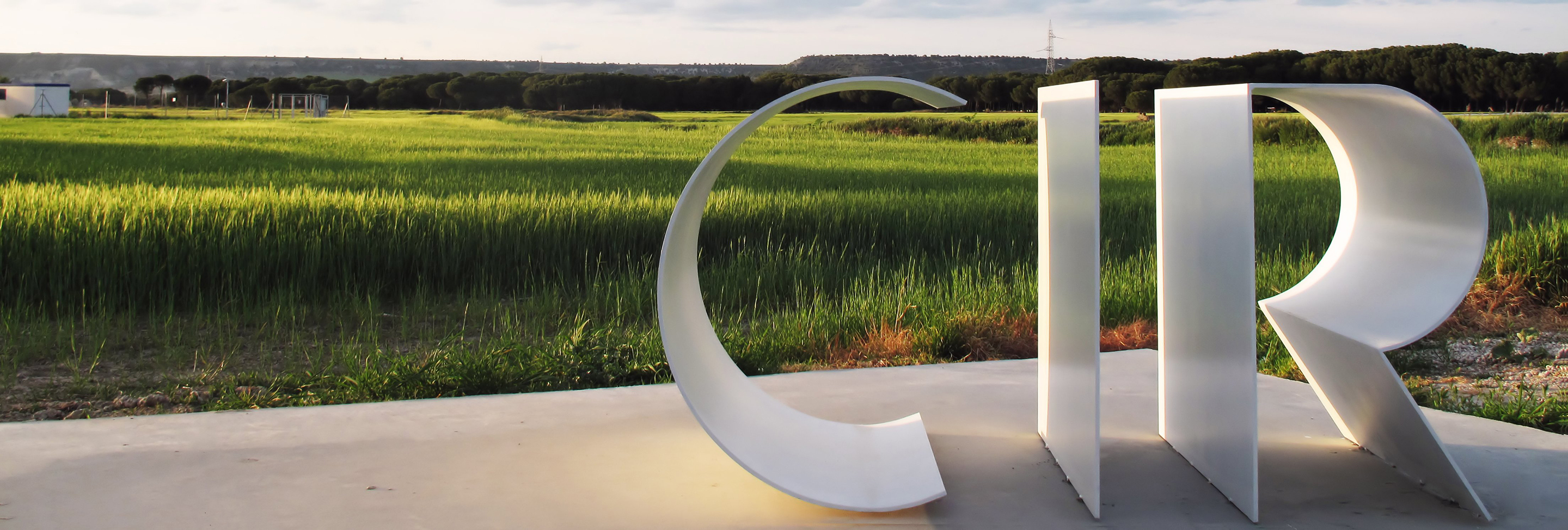 树脂解读中心（CIR）-22