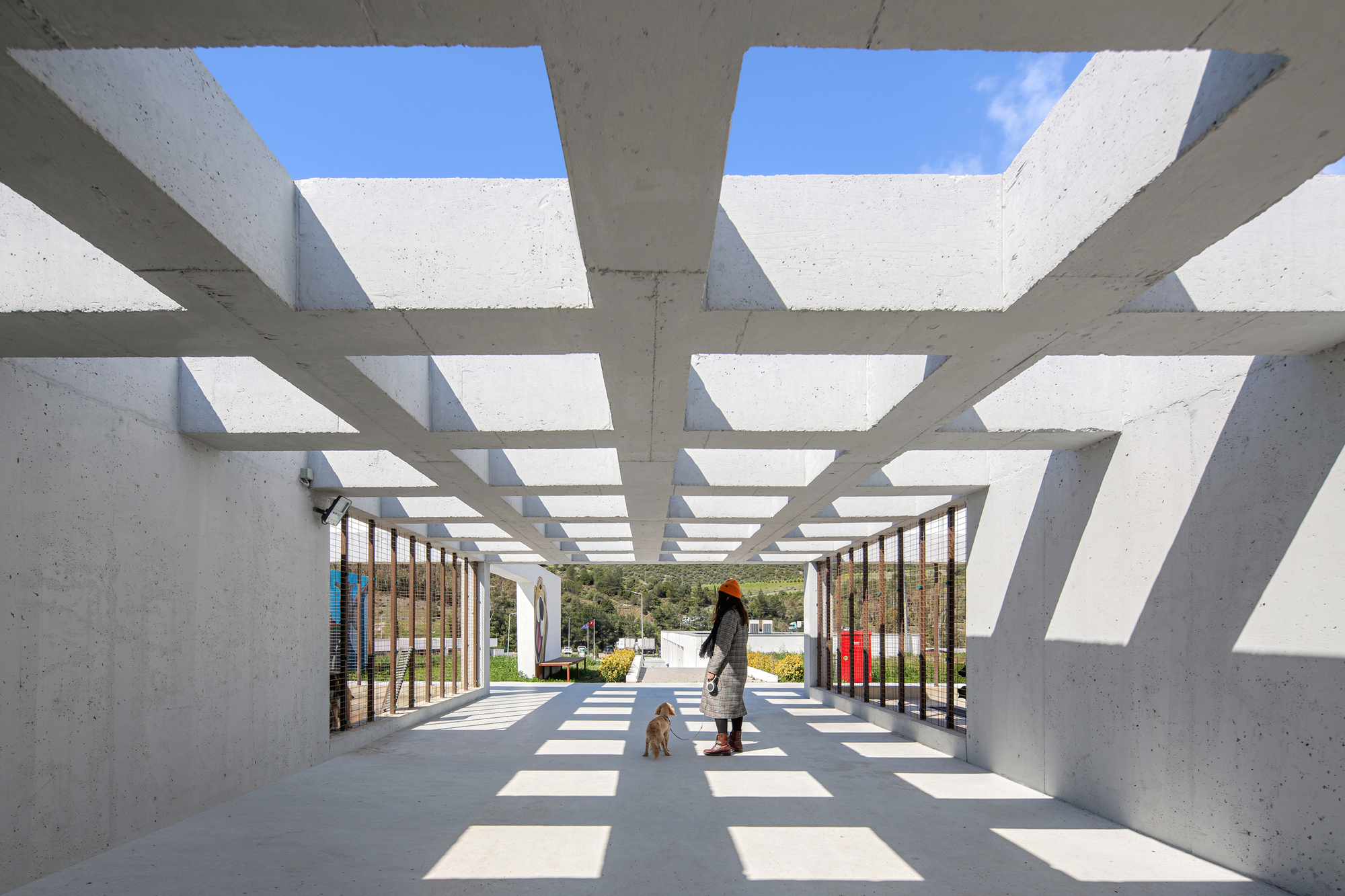 Pako Street Animal Social Life Campus / Mert Uslu Architecture-30