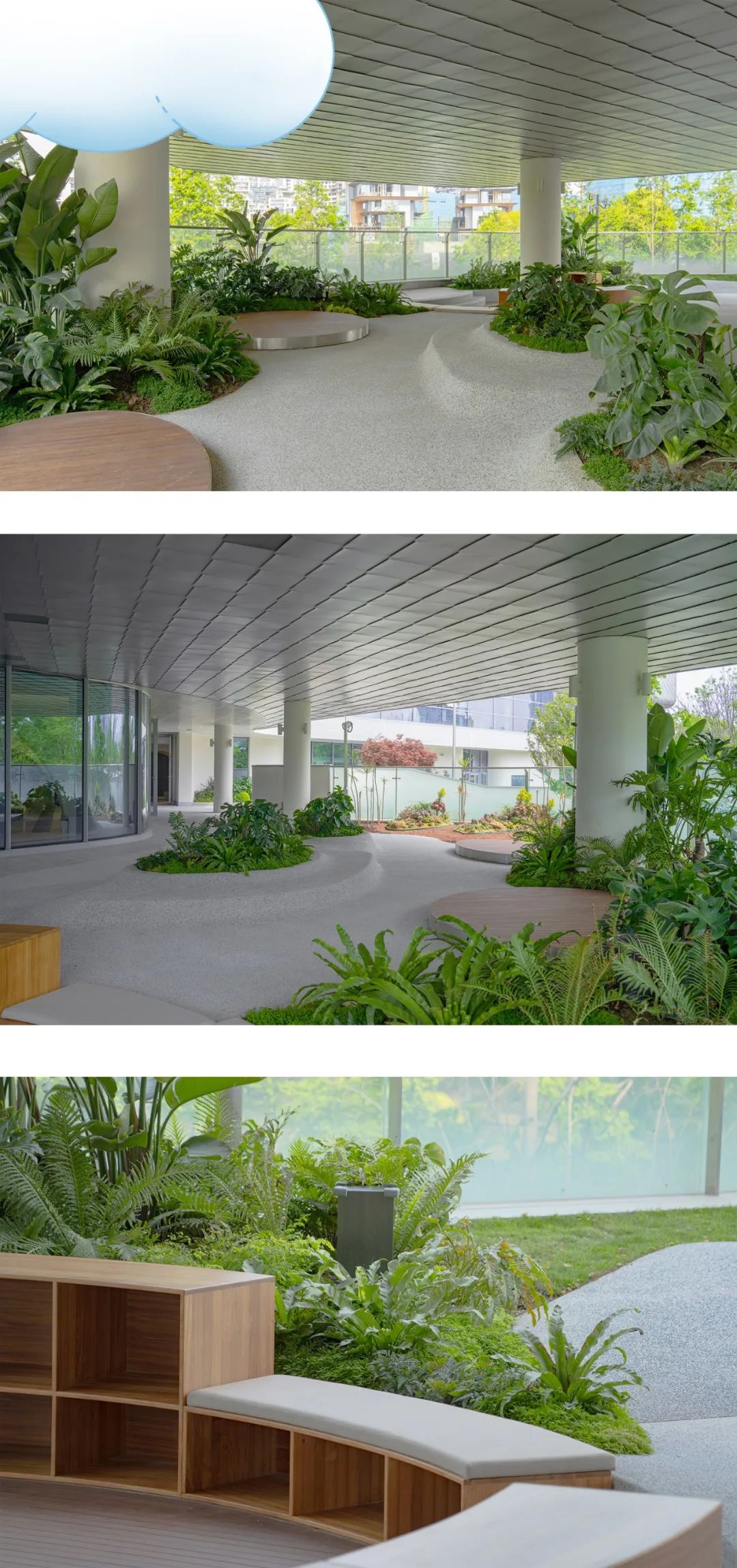 森林里的云朵 | 成都万华·麓湖云朵幼儿园-24