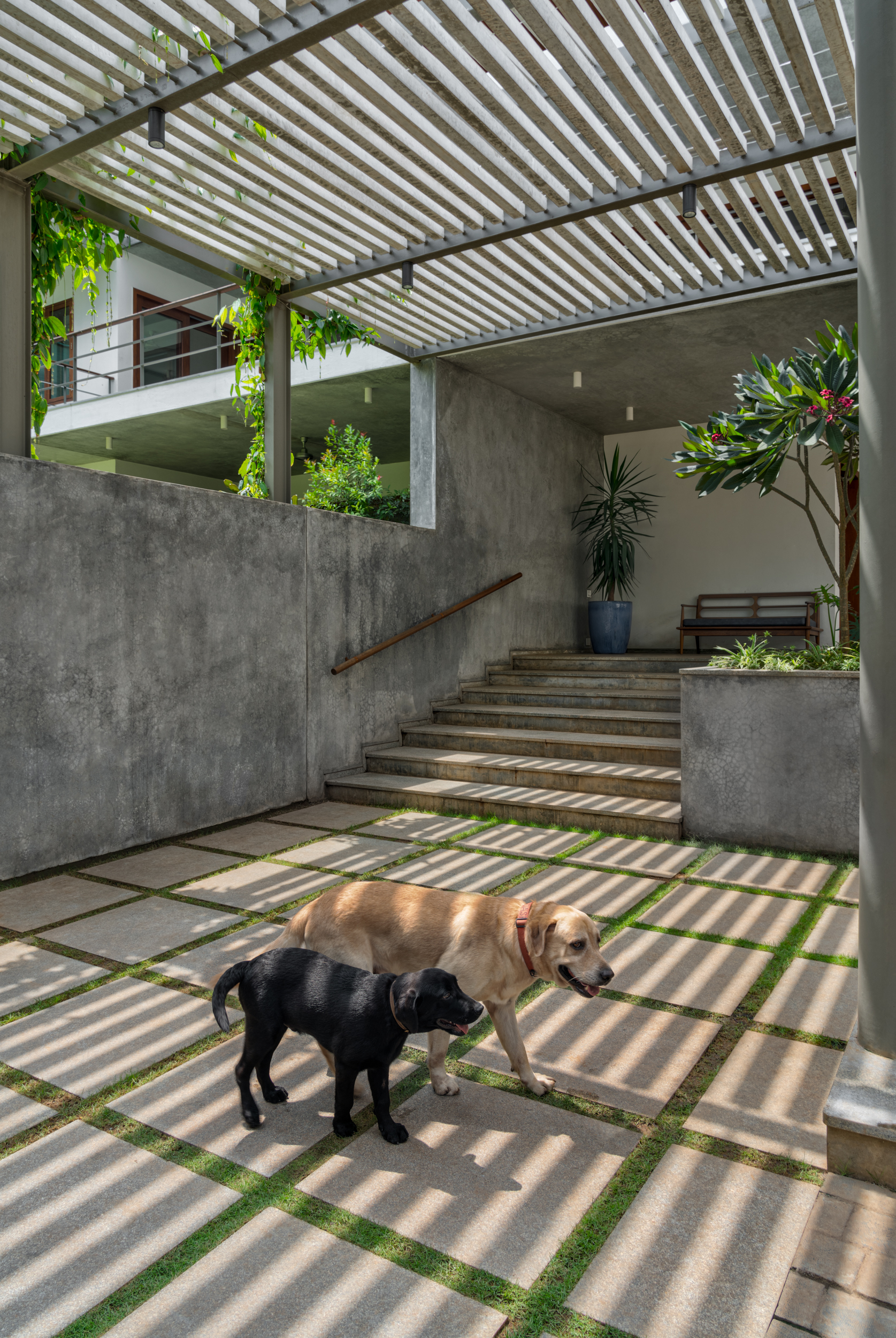 Race Course House / Khosla Associates-33