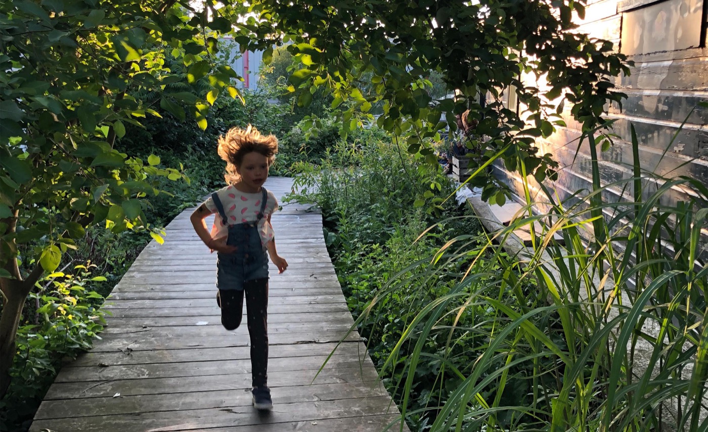 Amsterdam 船厂公园 | 废弃地变身绿色孵化器-9