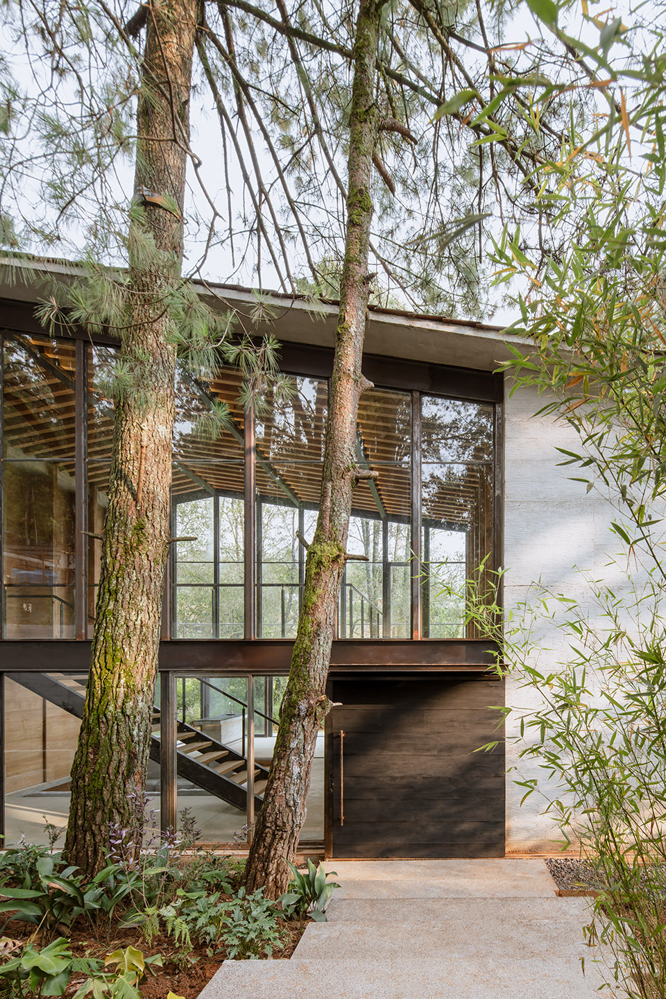 高树之家丨墨西哥丨1i Arquitectura-56