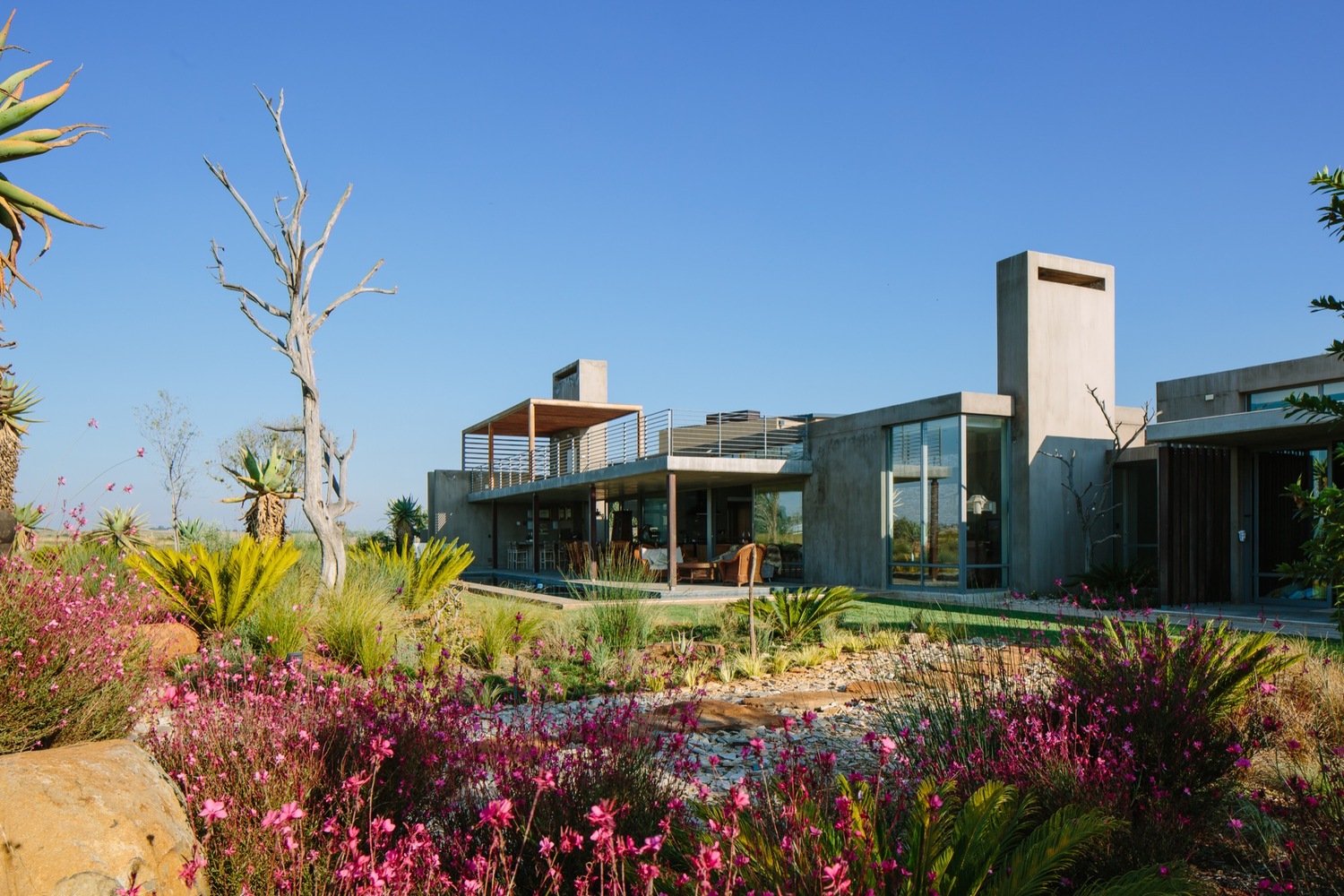 南非约翰内斯堡脊柱墙住宅——现代与自然的完美融合-39