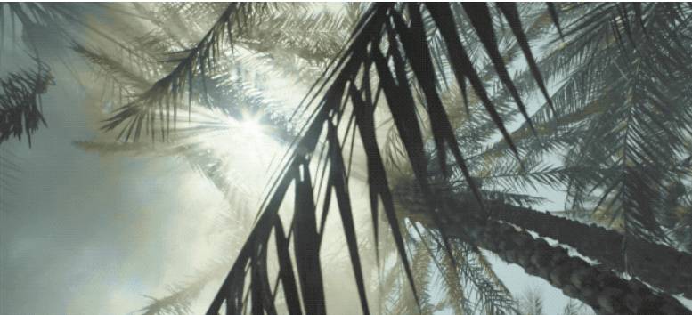 赛瑞迪普空间设计· 神 说 ： 要 有 光  就 有 了 光-41