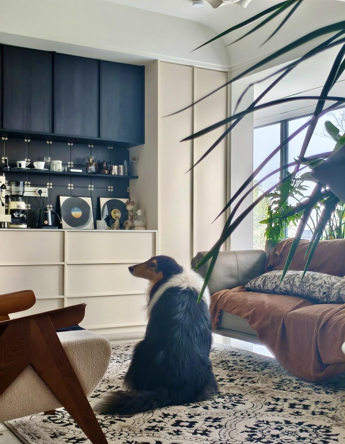 精装房改造案例 独居律师的全功能生活-13