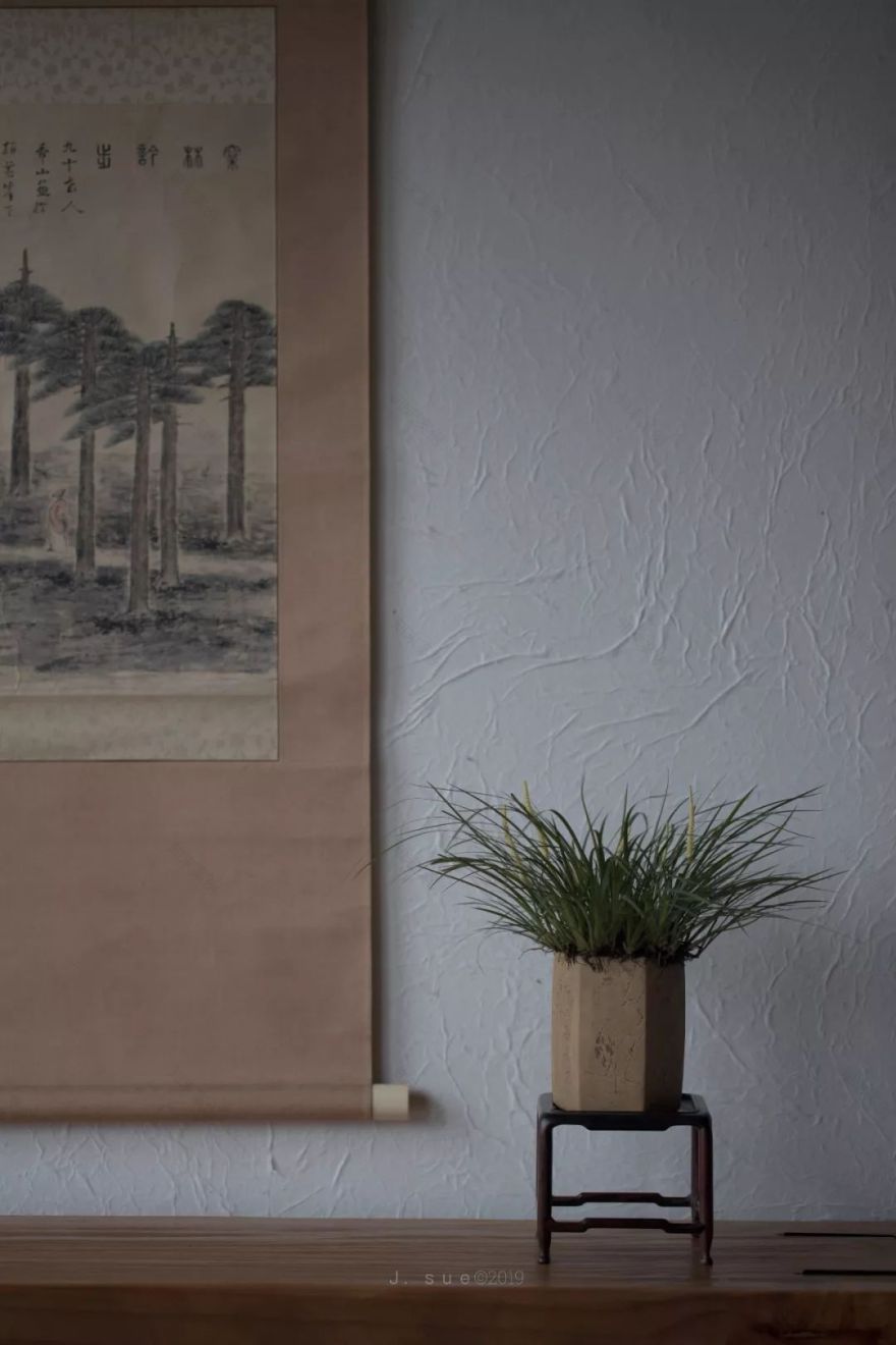 忙中静趣 | 领略生活的美好-20