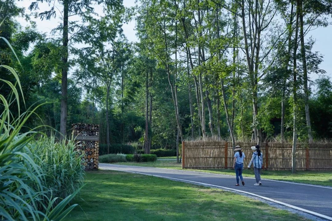 天府林盘·竹韵原乡 | 安仁林盘庄园-118